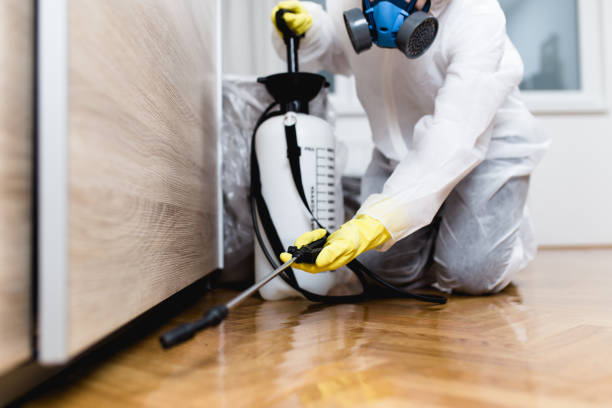 Best Commercial Pest Control Services  in Clarence, IA