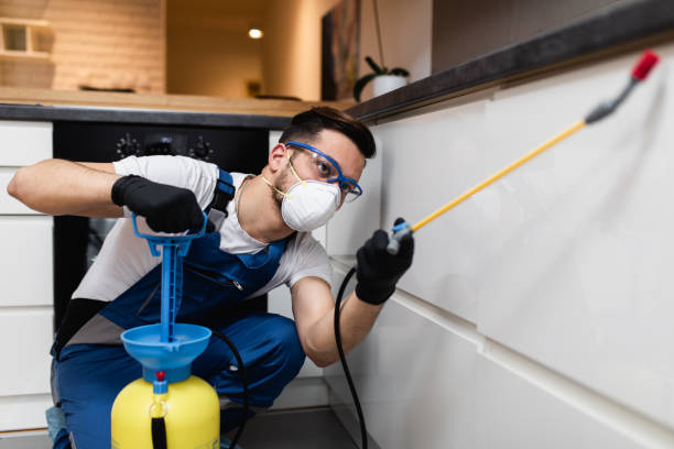 Best Cockroach Control Services  in Clarence, IA