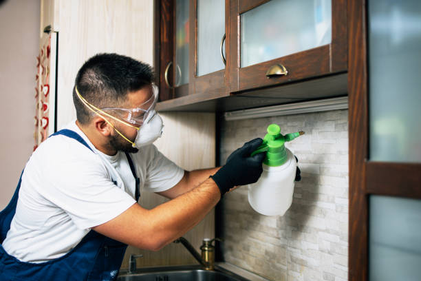 Best Wildlife Control Services  in Clarence, IA