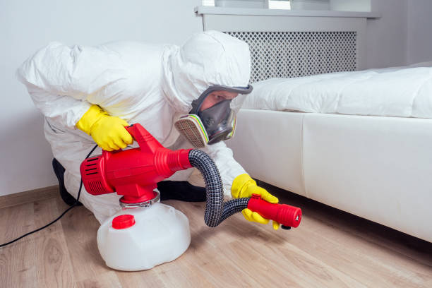 Reliable Clarence, IA Pest Control Solutions