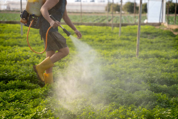 Best Commercial Pest Control Services  in Clarence, IA