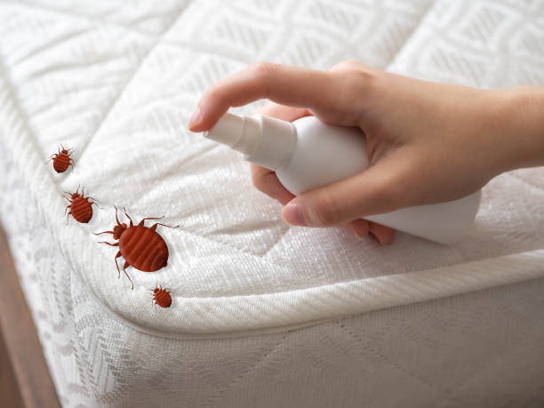 Best Pest Prevention Services  in Clarence, IA