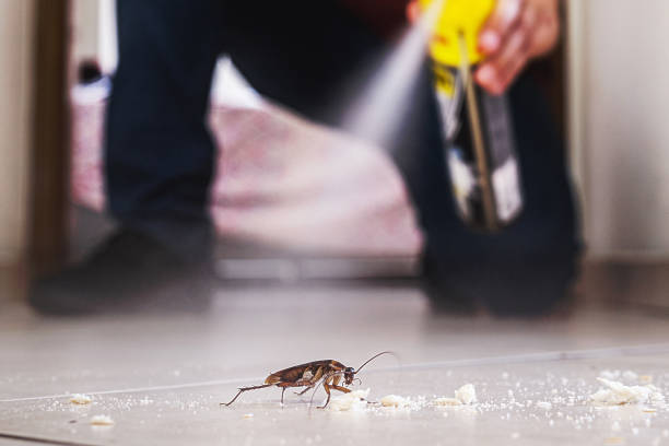 Best Exterminator Services  in Clarence, IA