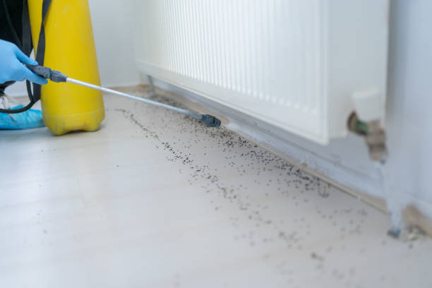 Best Pest Inspection Near Me  in Clarence, IA